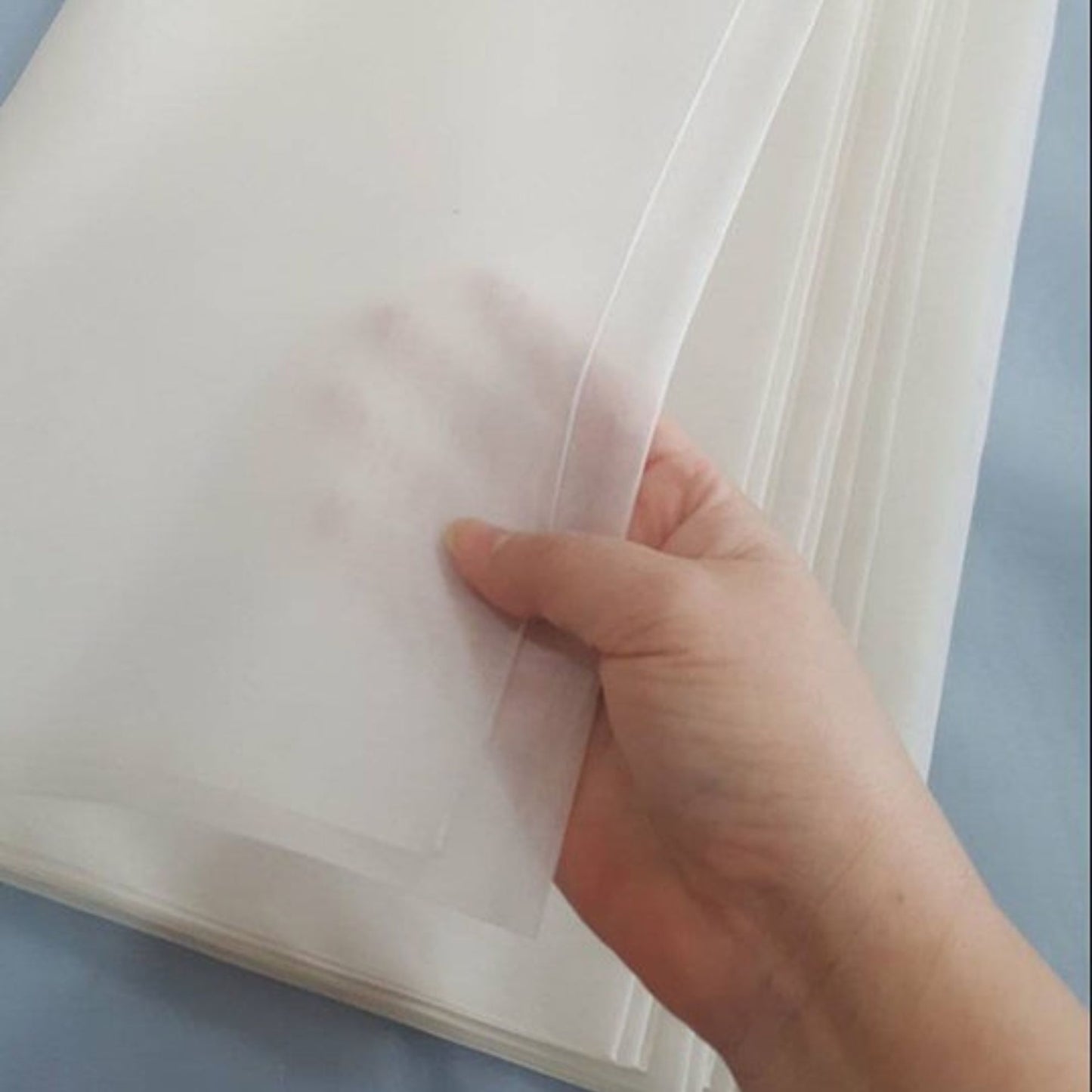 Thai Silk Organza / Sheer Silk White (SKU-44429)